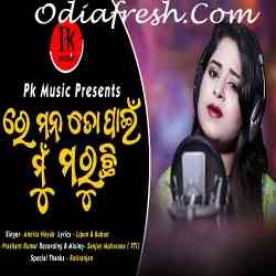 Re Mana To Pain Mun Maruchi